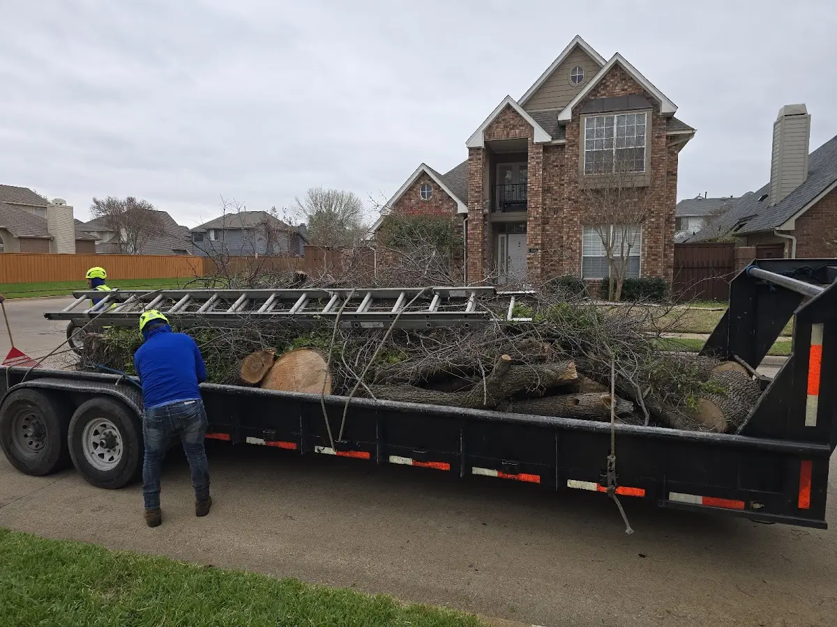 Expert Lot Clearing with proper safety equipment in Paris